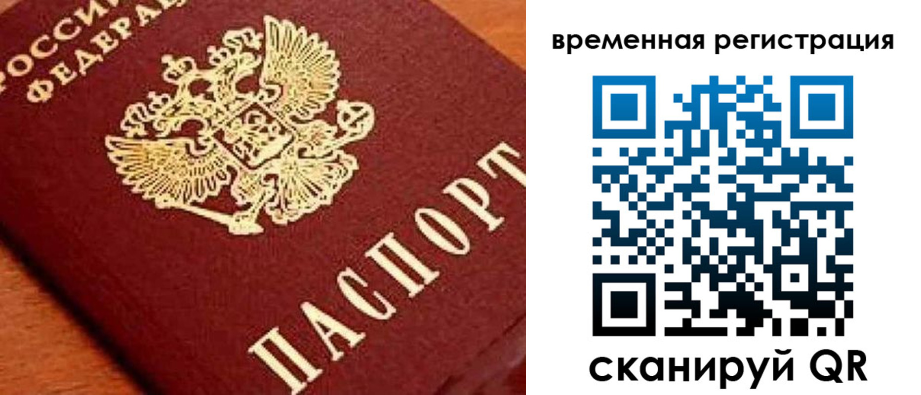 где прописаться в Нелидово